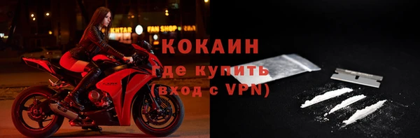 прущие грибы Бронницы