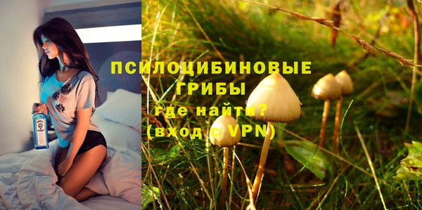 прущие грибы Бронницы