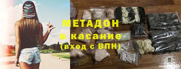 прущие грибы Бронницы