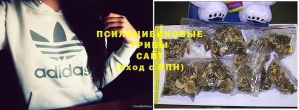 скорость Бородино